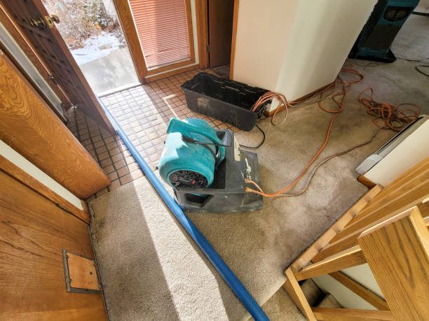 Best Water damage restoration cost  in USA